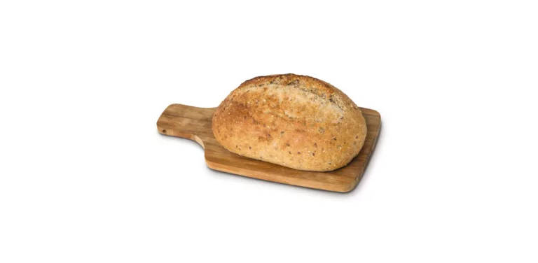 bakery-bread-cat-teaser.jpg