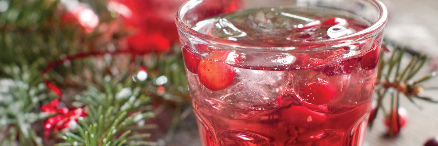 Holiday Cranberry Fizz -image