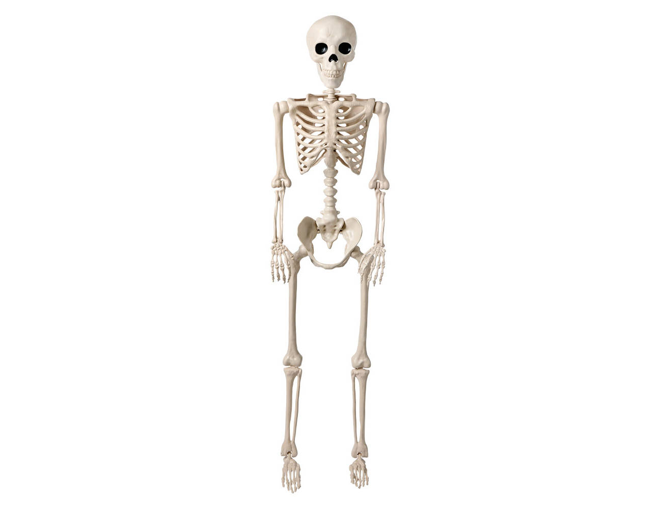 The Halloween Collection 5 #39 Tall Posable Skeleton Bone Color