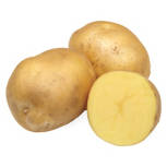 Organic Yellow Potatoes, 24 oz