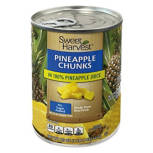 Pineapple Chunks in 100% Pineapple Juice, 20 oz Can