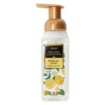 Sparkling Lemon Foaming Hand Soap, 10.14 oz
