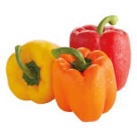 Multi-Colored  Peppers, 3 count