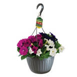 Hanging  Floral Basket