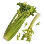 Celery, each