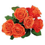 6  Stem Rose Bouquet