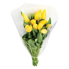 Valentine's Day 10 Stem Tulip Bouquet - Assorted Color