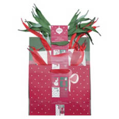 10 Pack Holiday Gift Bags - Classic Christmas