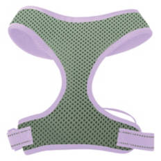 Dog Harness - Green/Purple, M