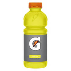 Lemon Lime Thirst Quencher, 20 fl oz bottle