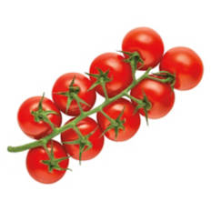 Snacking Tomatoes on the Vine, 12 oz
