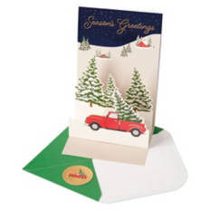 Pop Up Christmas Card - Seasons Greetings