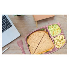 3 Compartment Food Storage Containers, Pink, Green & Gray