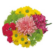 Everyday Flower Bouquet - Assorted Colors