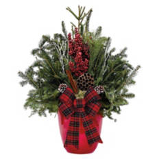 Holiday Assorted Patio Planter