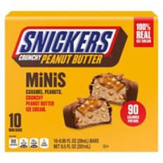 Mini Peanut Butter Ice Cream Bars, 10 count