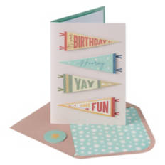 5" x 7" Birthday Greeting Card - Hooray