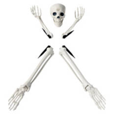 5 Piece Groundbreaker Skeleton Set