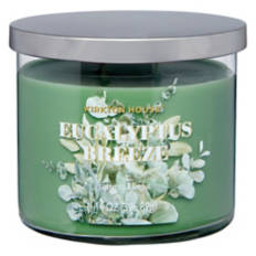 3 Wick Scented Candle - Eucalyptus, 14 oz