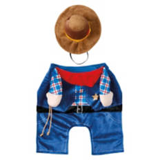 Halloween Pet Costume - Cowboy, M