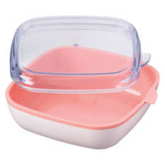 Sandwich Storage Container