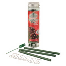 Scentsicles - Snowberry Pine