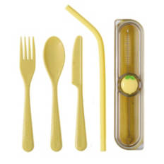 Reusable Cutlery Set - Citrus
