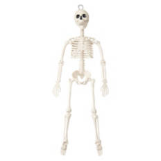 36" Tall Halloween Skeleton, Bone Color