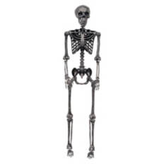 5' Tall Posable Skeleton, Gunmetal Color