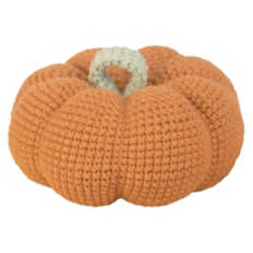 Crochet Pumpkin Craft Kit