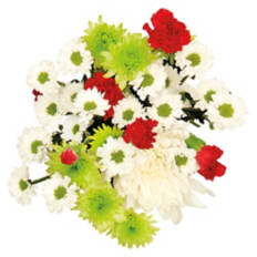 Blooming Bouquet - Assorted Color