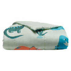 Soft Twin Size Reversible Comforter - Dino