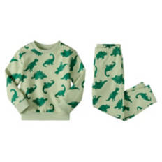 Toddler Sweat Set - Green Dinosaurs, 2T