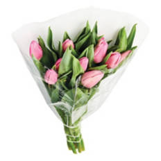 10 Stem Tulips - Assorted Color