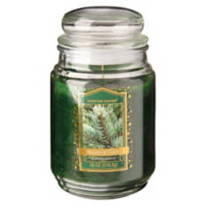 Holiday Candle - Balsam & Cedar, 18 oz