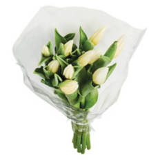 Mother's Day 10 Stem Tulip Bouquet - Assorted Color