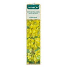 Ornamental Shrub - Assorted Varieties