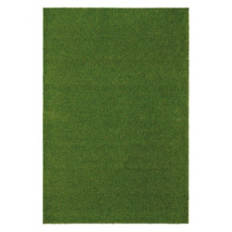 4' x 6' Indoor Landscape Turf Rug