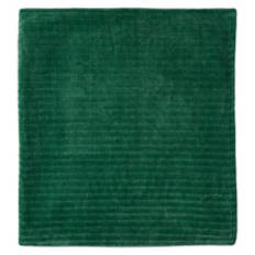 50" x 70" Chenille Throw Blanket, Green