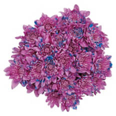 Fresh Flower Bouquet - Assorted Color