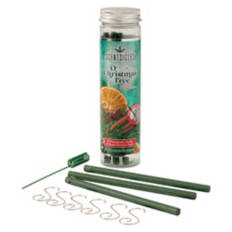 Scentsicles - O Christmas Tree