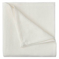 66" x 90" Twin/Twin XL Size Cotton Blanket, Cream