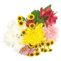 Flower Garden Bouquet - Assorted Varieties
