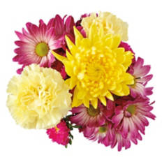 Assorted Colors Flower Fields Bouquet