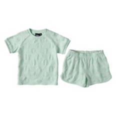 Toddler Boy's Short Set - Green, 2T