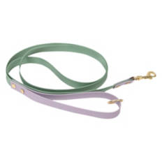 Dog Waterproof Leash - Green/Purple, One Size