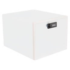 Fridge Storage Safe
