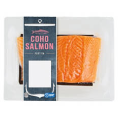 Coho Salmon