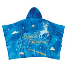 40" x 60" Harry Potter Hooded Throw - Mystic Wonder