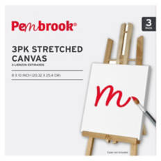 8" x 10" Stretched Canvas, 3 pack